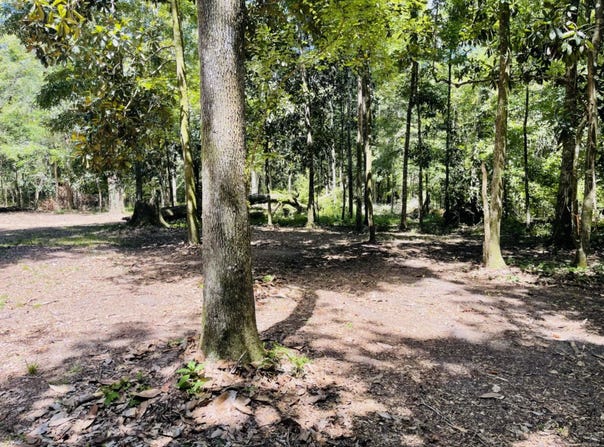1169 Old Bumpy Road, Tallahassee, FL 32317