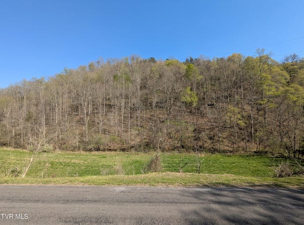 2310 Speers Valley Road, Duffield, VA 24244