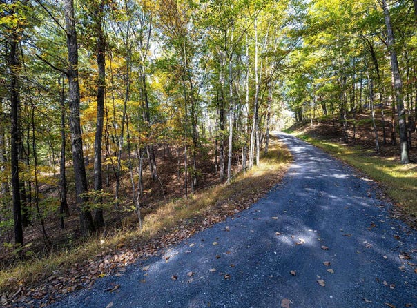 DAWN DR, BASYE, VA 22810