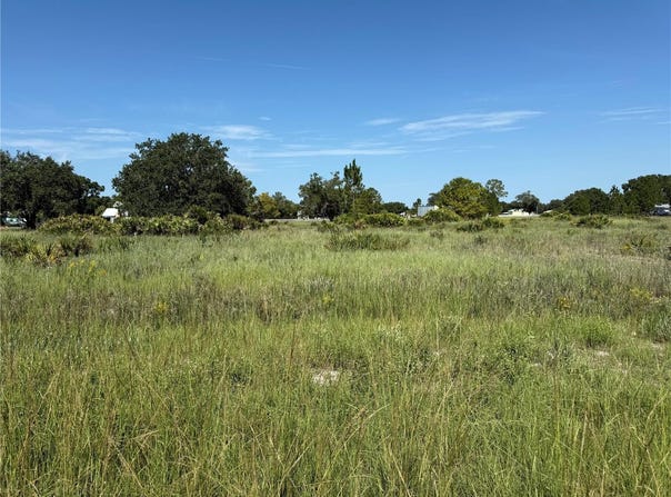 600 S DICKEY ROAD, AVON PARK, FL 33825