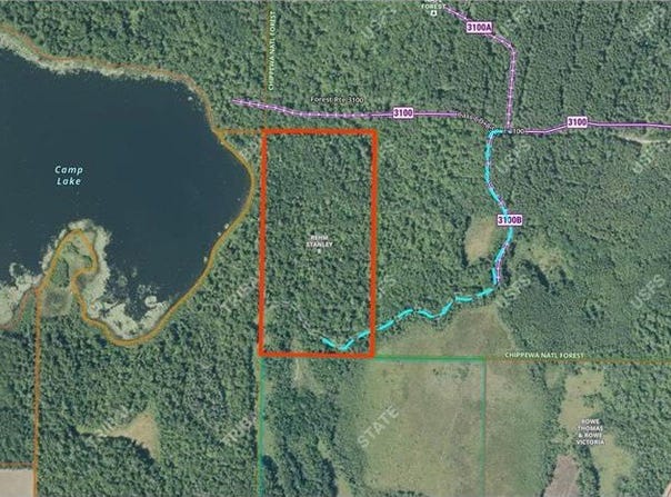 Tbd FS 3100 Road NE, Longville, MN 56655