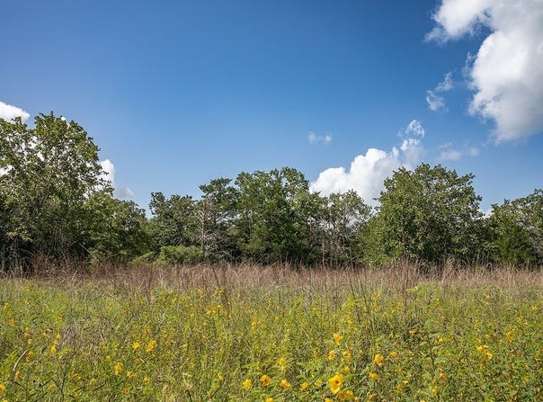 4105 Lomax Harmel Road, Carmine, TX 78932