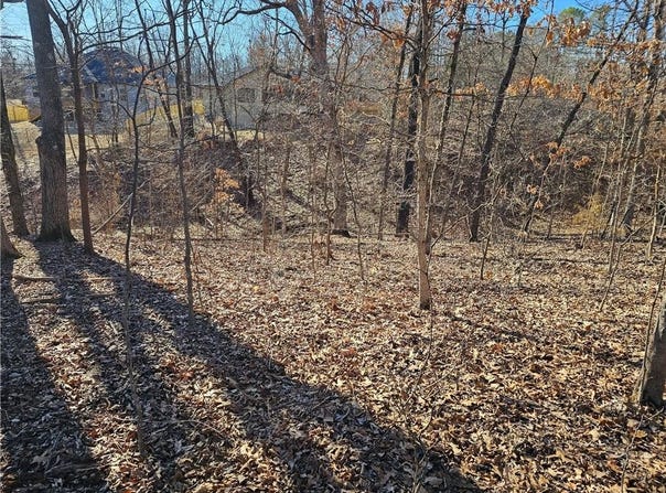 Lot 6, Block 2 Baltasound  LN, Bella Vista, AR 72715