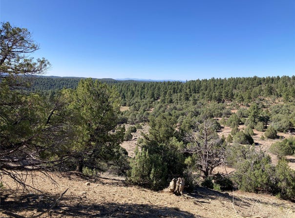 Parkview Hills Lot 28, Rutheron, NM 87551