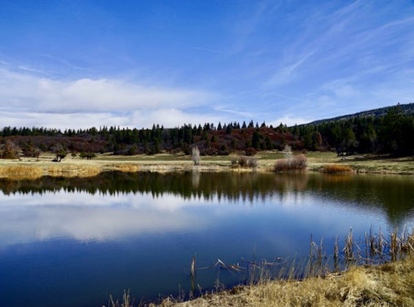 000 SR 512, Chama, NM 87575