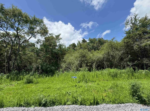 13 Hogs Lane, Albertville, AL 35951