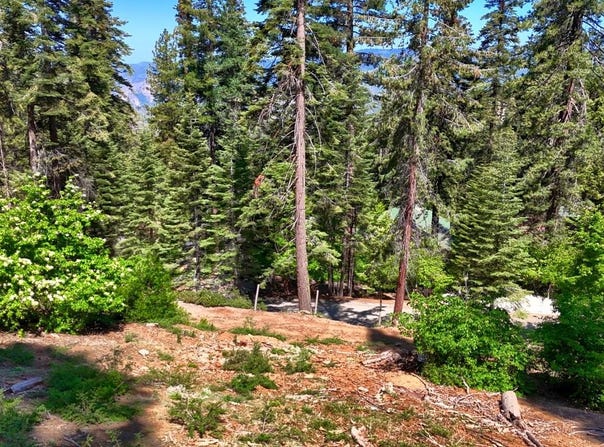 7420 Henness Ridge Road, Yosemite West, CA 95389