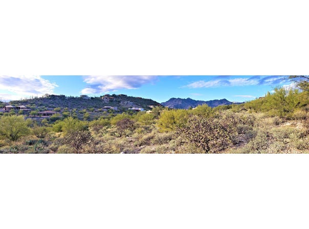 4425 N Santana Place, Tucson, AZ 85750