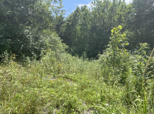 2750 Shadrick Ferry Road, Frankfort, KY 40601