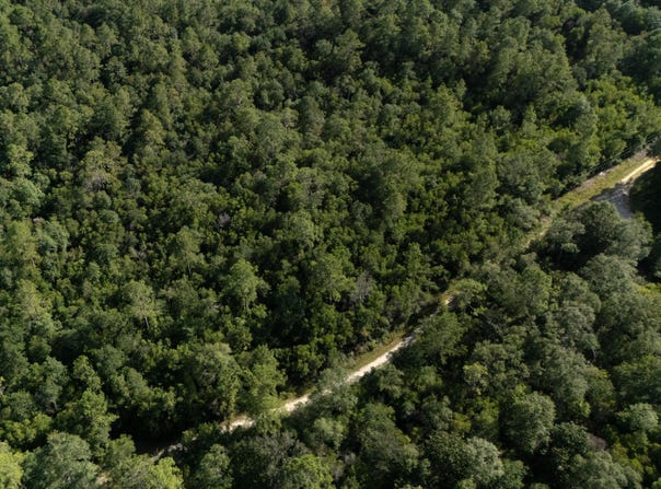 Ashmore Ridge Drive, Vancleave, MS 39565