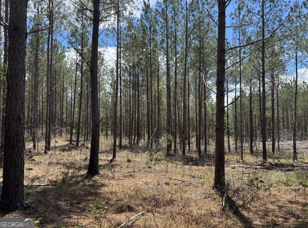 Lot 2 Lipham, Franklin, GA 30217