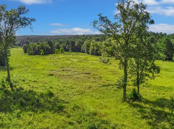 TBD CR 3100, San Augustine, TX 75972