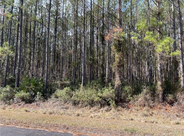 Lot 67 Waverly Lane, White Oak, GA 31568