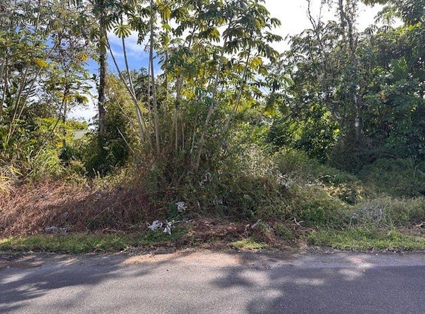 MAUNA KEA DR, Pahoa, HI 96778