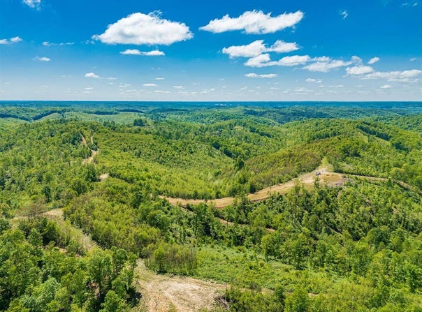 1  Ervin Hill Rd, Beaver, OH 45613