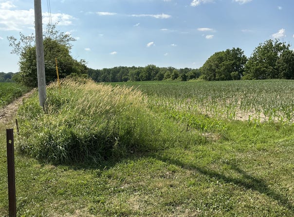 10395 E Paris Avenue SE, Caledonia, MI 49316