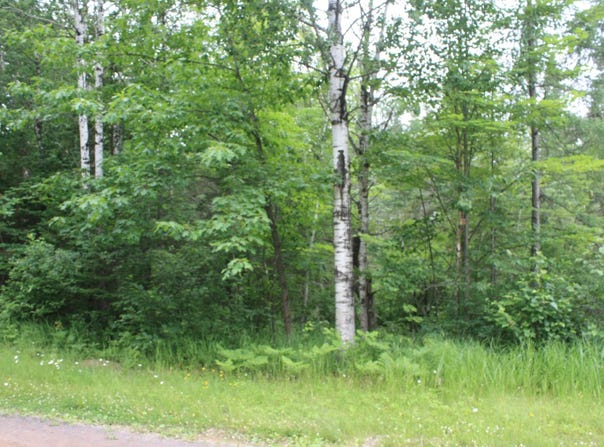 51XX Olson Rd, Brule, WI 54820