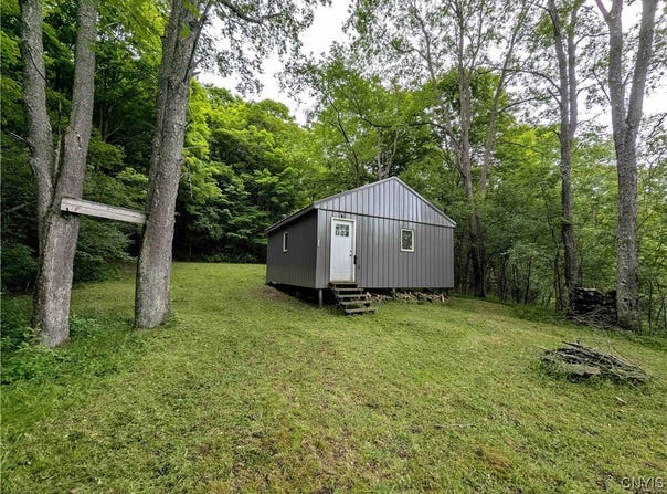 Paynesville Hill Road, Independence, NY 14897