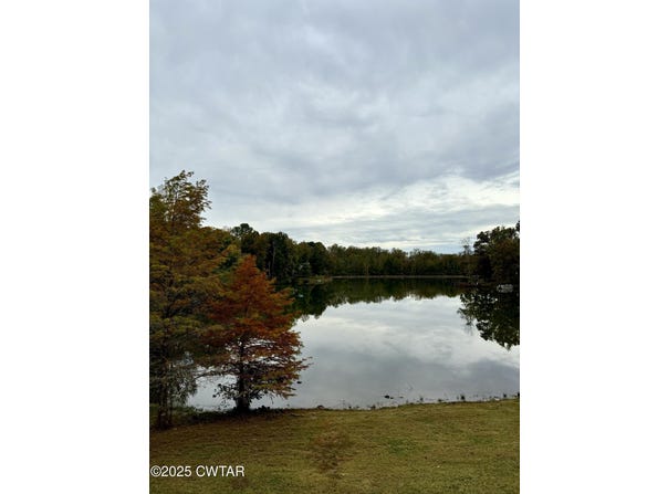 973 Old Lavinia Road, Cedar Grove, TN 38321