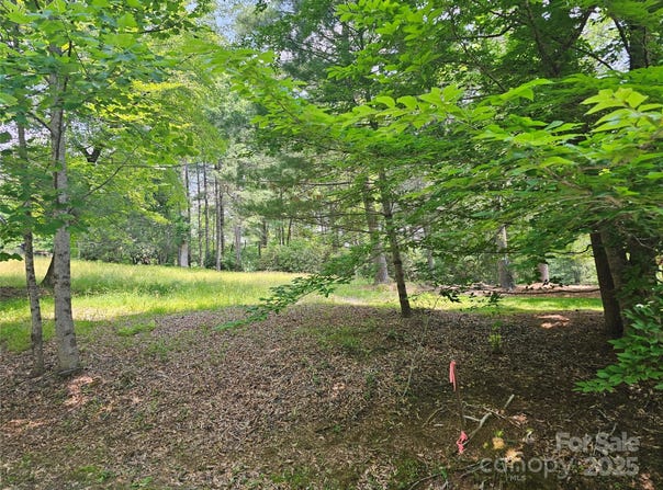 A3 Allison Creek Trail unit: A3, Brevard, NC 28712