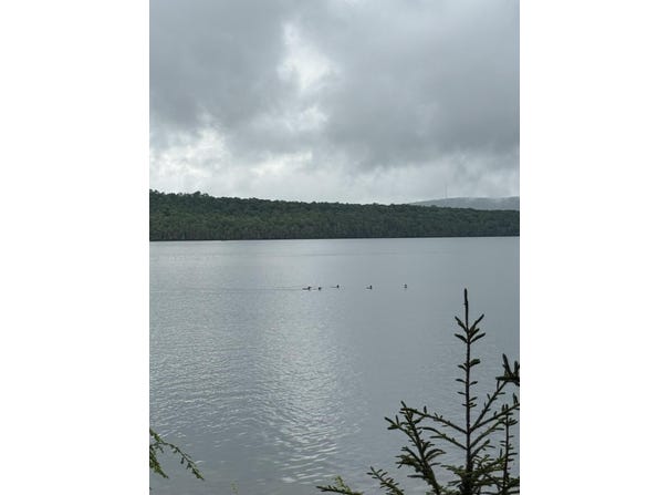 416 S Shore Road, Island Falls, ME 04747