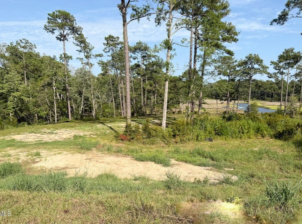 403 Salt Creek Road lot: 16, Swansboro, NC 28584