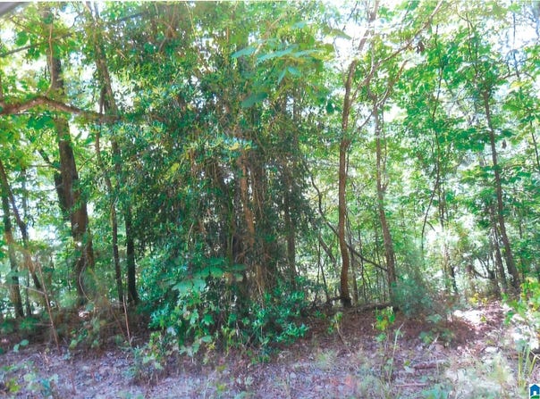 00 1ST AVENUE, PELL CITY, AL 35128