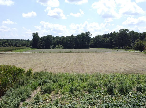 0 Suttontown Road, Faison, NC 28341