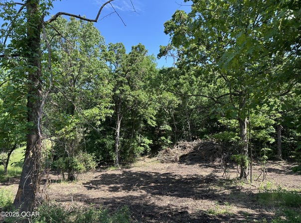 Lot 30 Shoal Creek Estates, Joplin, MO 64804