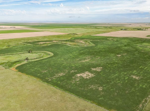 TBD, Woodrow, CO 80757