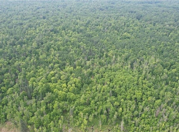 Parcel C Ticonderoga Trail, Hackensack, MN 56452