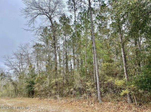 15436 BULLOCK BLUFF Road, Bryceville, FL 32009