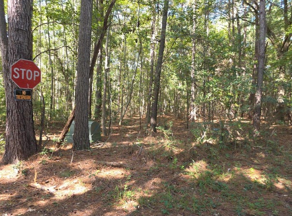 1142 Choice Road, Johns Island, SC 29455