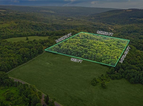 0 Slators Lane Lane, Newfield, NY 14867