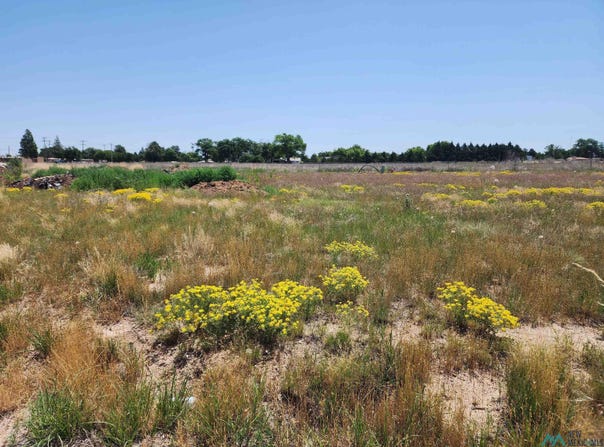 1817 Quail-Wood Drive, Portales, NM 88130