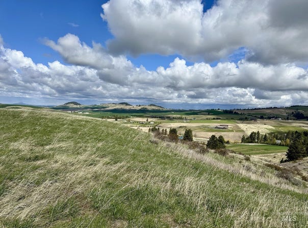 Tbd Bluebird Ln., Viola, ID 83872