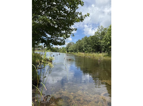 6-c Greenfields Way N, Dunlap, TN 37327