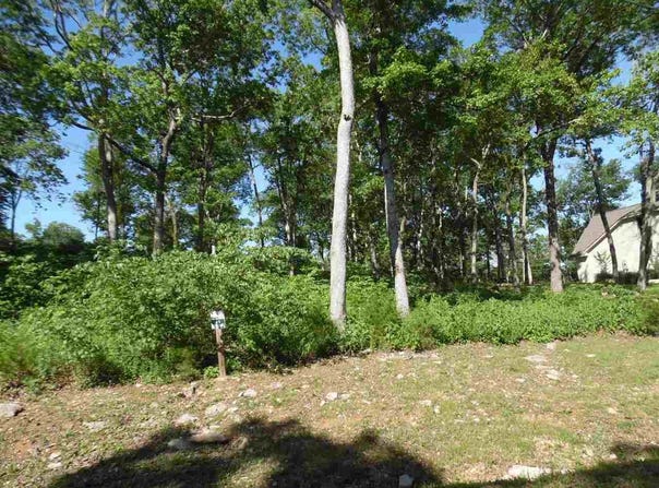 ADAM Loop, Bath Springs, TN 38311