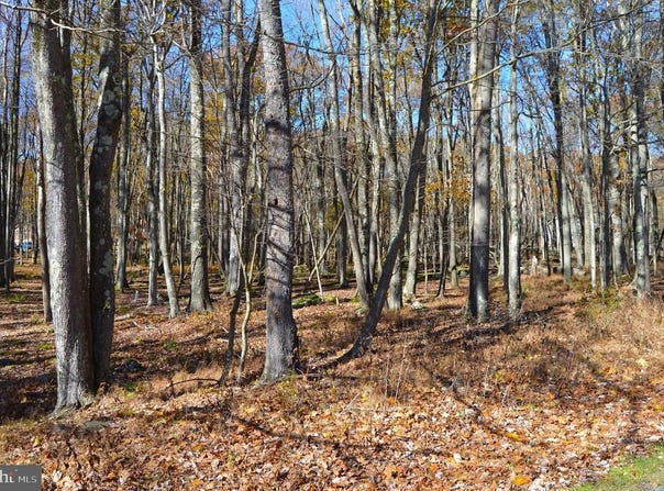 181 E ALPINE DR, TERRA ALTA, WV 26764