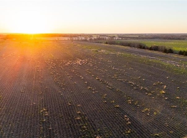 Tbd FM 128, Ben Franklin, TX 75415