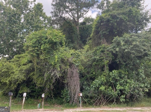 0 Ga Hwy 129, Claxton, GA 30417