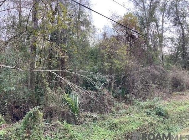 Lot 33 Lucien St, Denham Springs, LA 70726