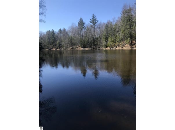 2823 River Ridge Road, Alger, MI 48610