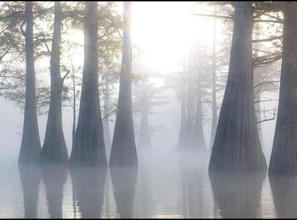 000 Pecon Grove Road, Woodville, MS 39669
