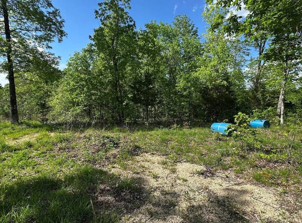 410 Hogg Hill, Lobelville, TN 37097
