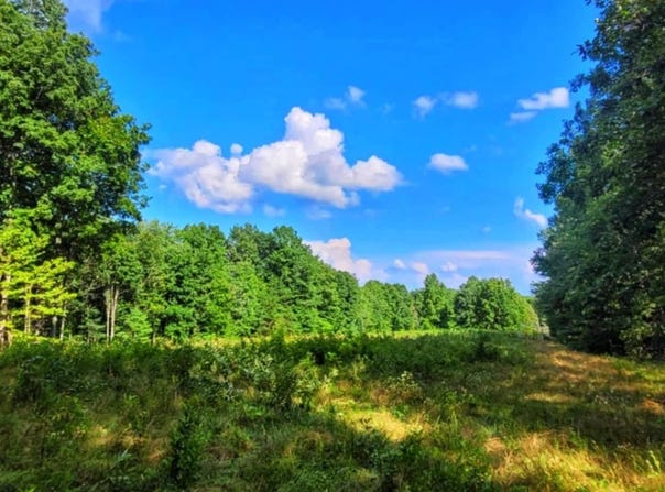 000 Old Gordon Road, Grandview, TN 37337