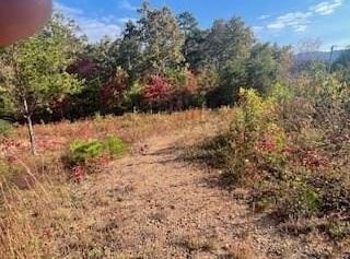 Jay Bird Trl lot: 5, Franklin, NC 28734