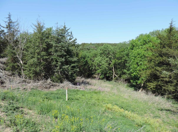 Beltrane Drive lot: 15, Yankton, SD 57078