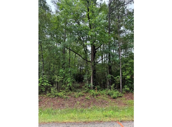 1945 FM 353, San Augustine, TX 75972