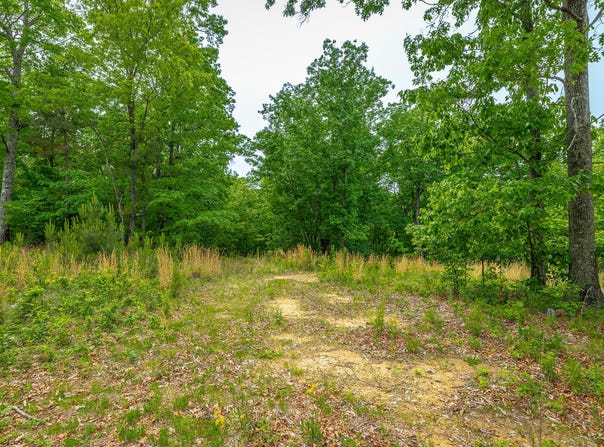 Moonlight Lane lot: Jf444, Jasper, TN 37347